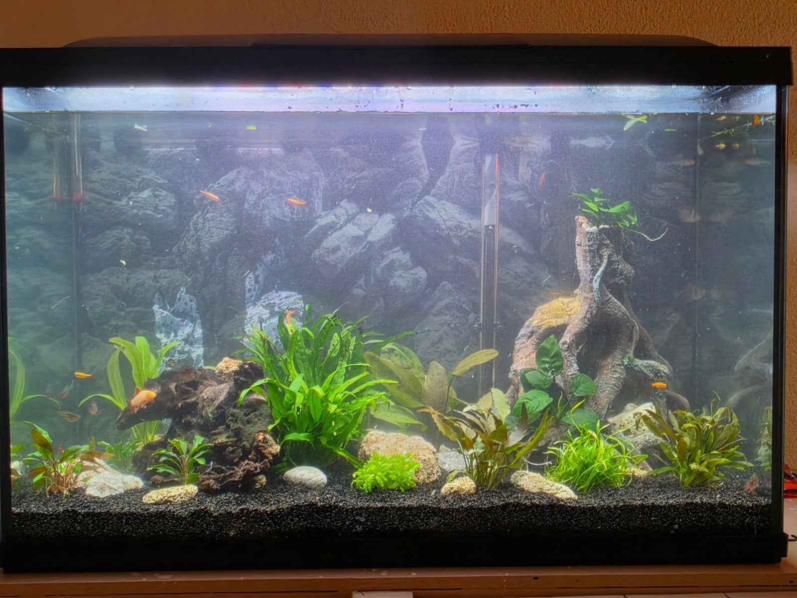 SuperFish Start 100 aquarium 105L nieuwe filter en pomp, Ophalen, Zo goed als nieuw, Leeg aquarium