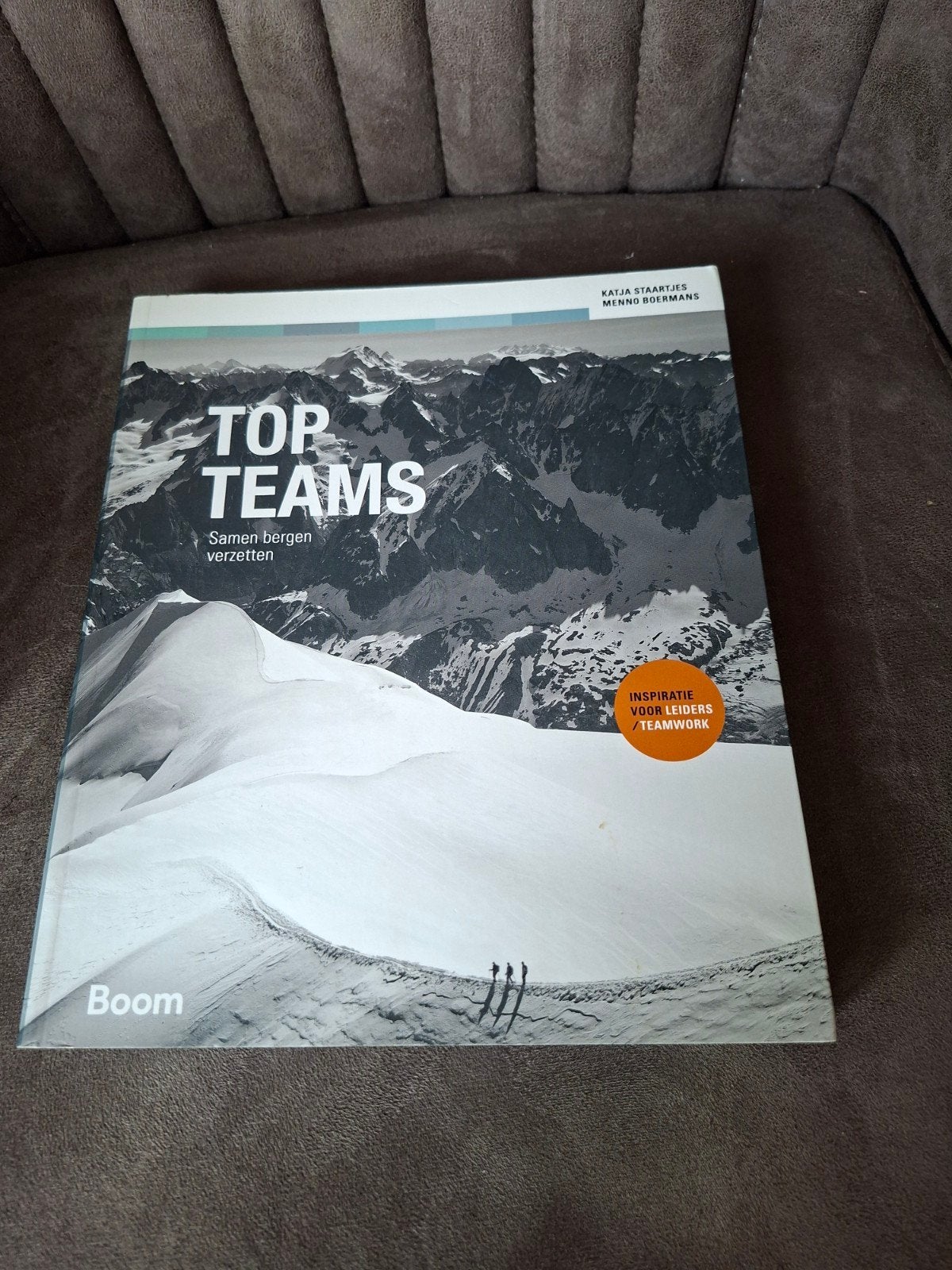 Top Teams: Samen bergen verzetten - Katja Staartjes, Ophalen of Verzenden, Zo goed als nieuw, Katja Staartjes, Menno Boermans