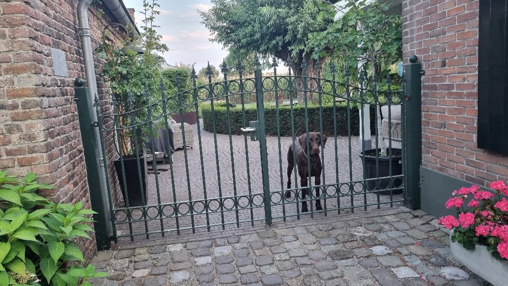 Poort sierhekwerk, Ophalen, Met poort, Gebruikt, Sierhekwerk