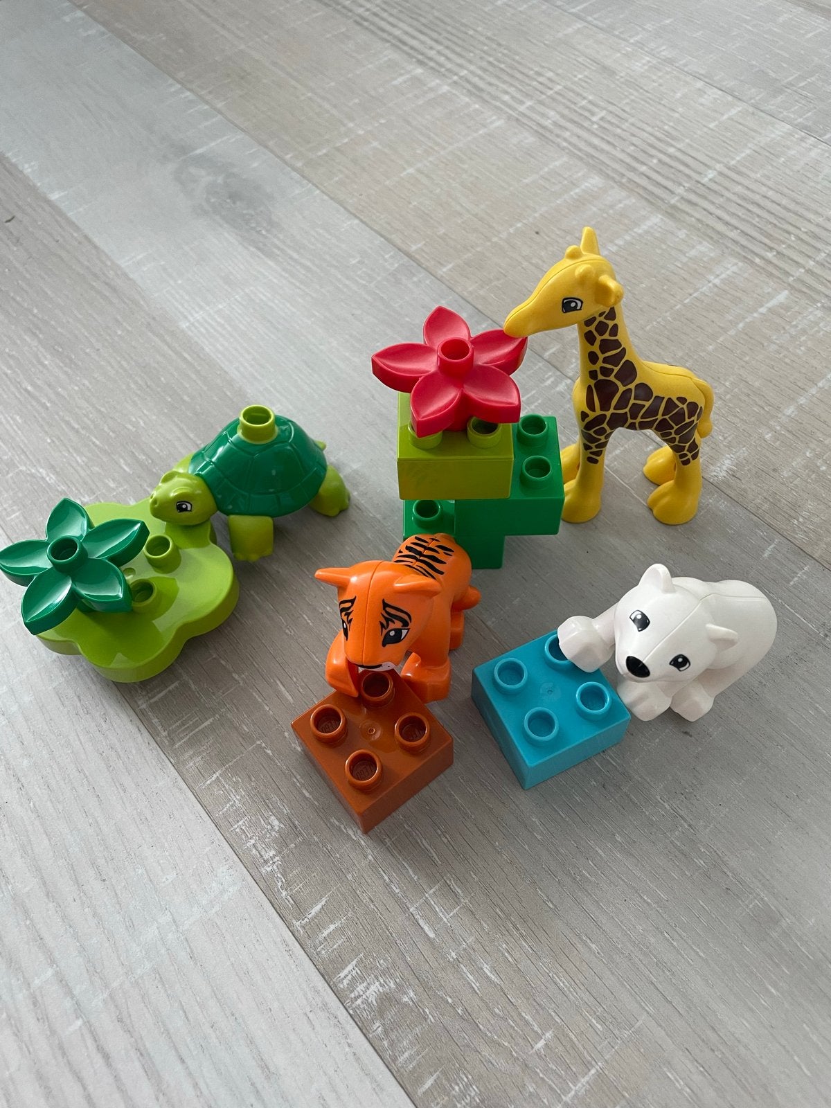 Duplo 10801: Dieren van de Wereld, Gebruikt, Overige thema's, Ophalen of Verzenden, Compleet
