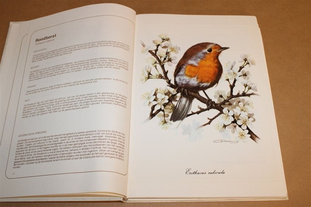 De Vogels van Onze Streken — Met Losse Afbeeldingen, Ophalen of Verzenden, Gelezen, Vogels