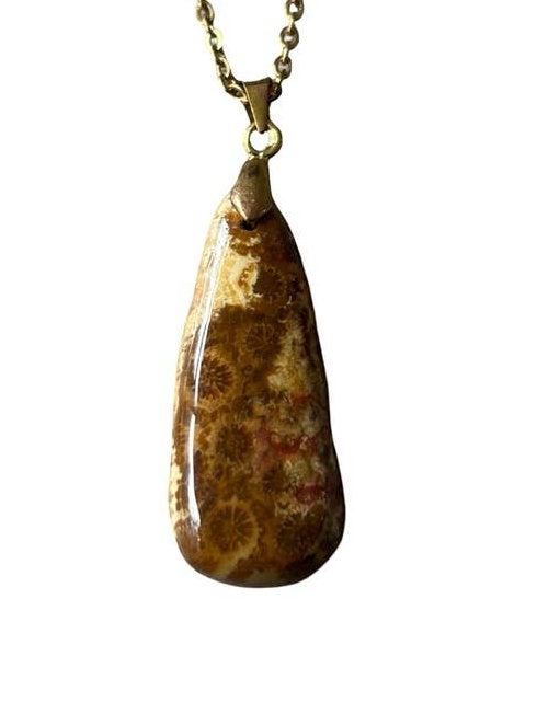 Fossielkoraal Ketting Roestvrijstaal Sieraden Accessoires, Bruin, Vanbeeksaar4@gmail.com, Nieuw, Ophalen of Verzenden