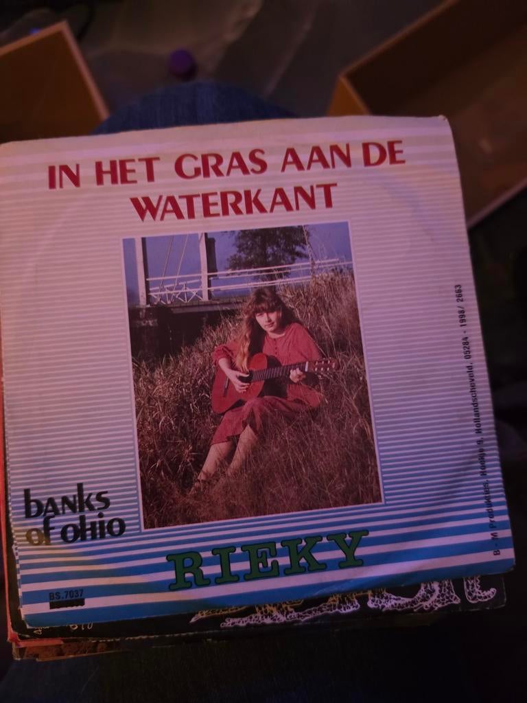 Rieky - In Het Gras Aan De Waterkant / Banks Of Ohio, Ophalen of Verzenden, Gebruikt