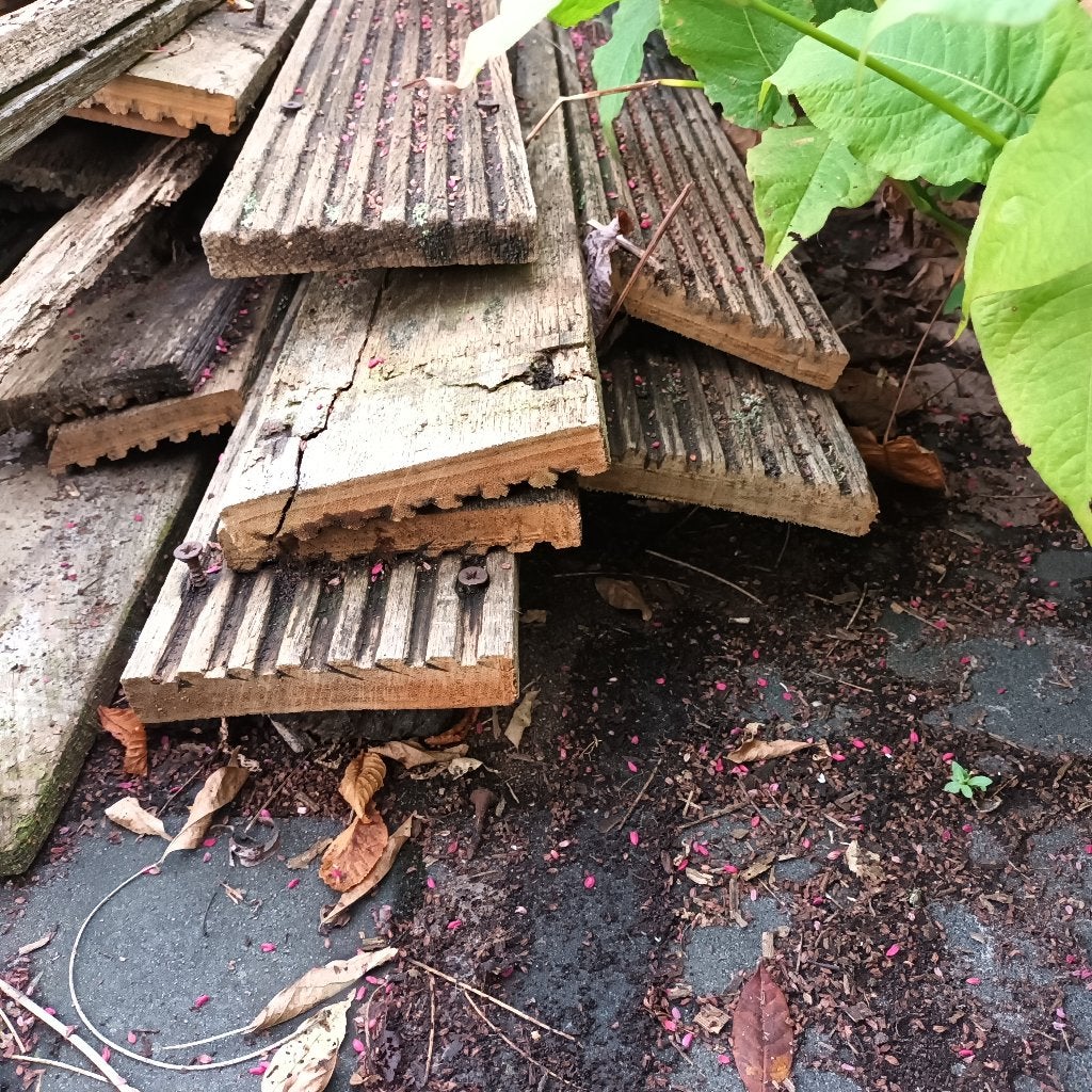 haardhout, Doe-het-zelf en Verbouw, Ophalen, Gebruikt, Plank, 50 mm of meer
