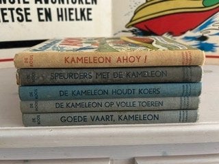 5 x 1e Druk kameleon boeken, met linnen rug, Boeken, Hotze de Roos, Ophalen of Verzenden, Zo goed als nieuw, Fictie