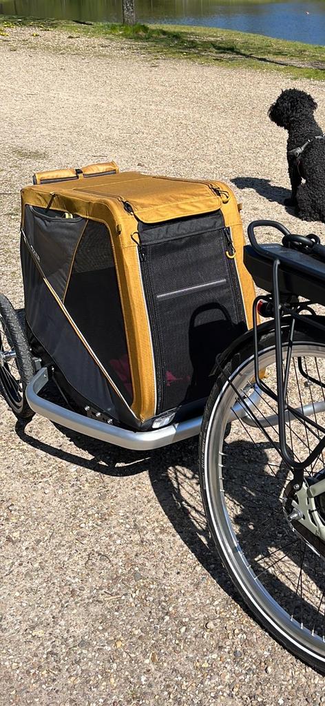 Croozer Hondenfietskar - Peppa L (Zo goed als nieuw), Fietsen en Brommers, Ophalen, Opvouwbaar, 20 tot 40 kg, Zo goed als nieuw