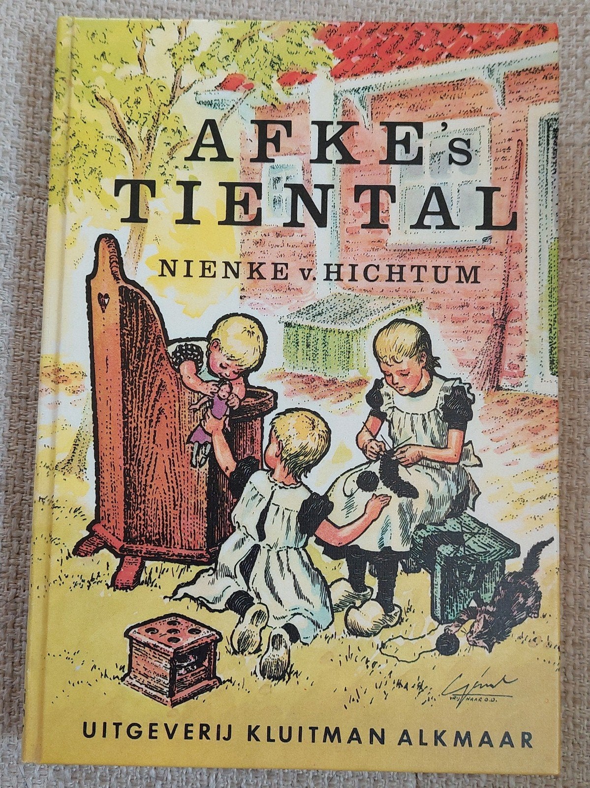 Afke's tiental - Nienke van Hichtum, Ophalen of Verzenden, Gelezen, Fictie algemeen