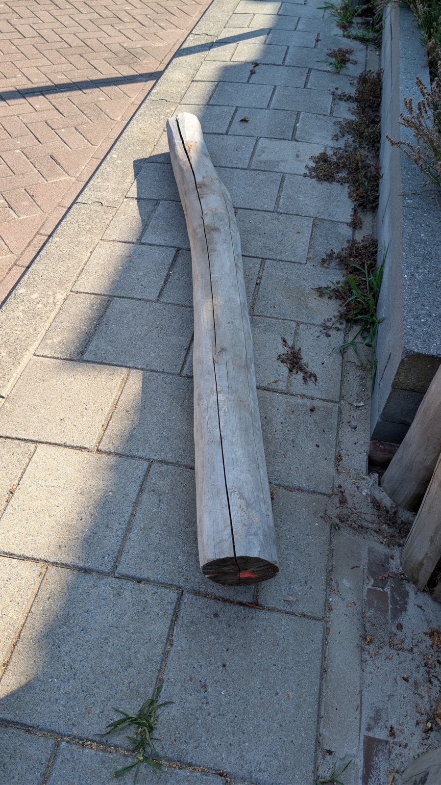 Robinia paal - Ø 15cm, Lengte 200cm, Ophalen, Gebruikt, Overige typen, 200 tot 250 cm