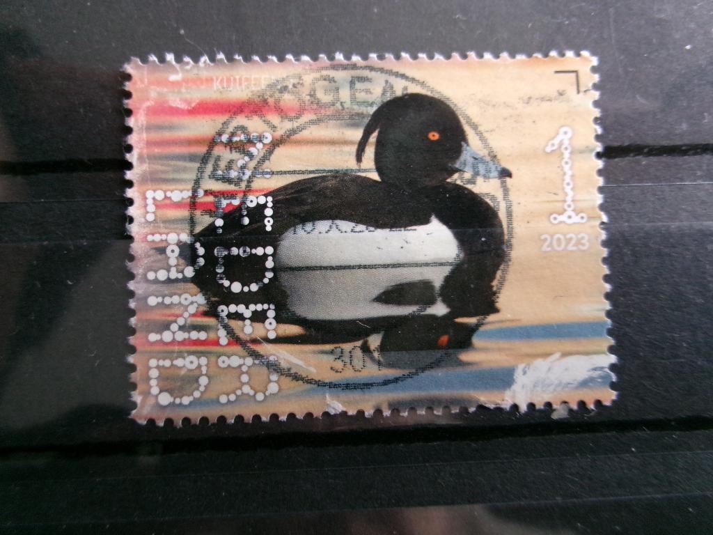 2023 - beleef de natuur kuifeend (122d), Verzenden, Gestempeld
