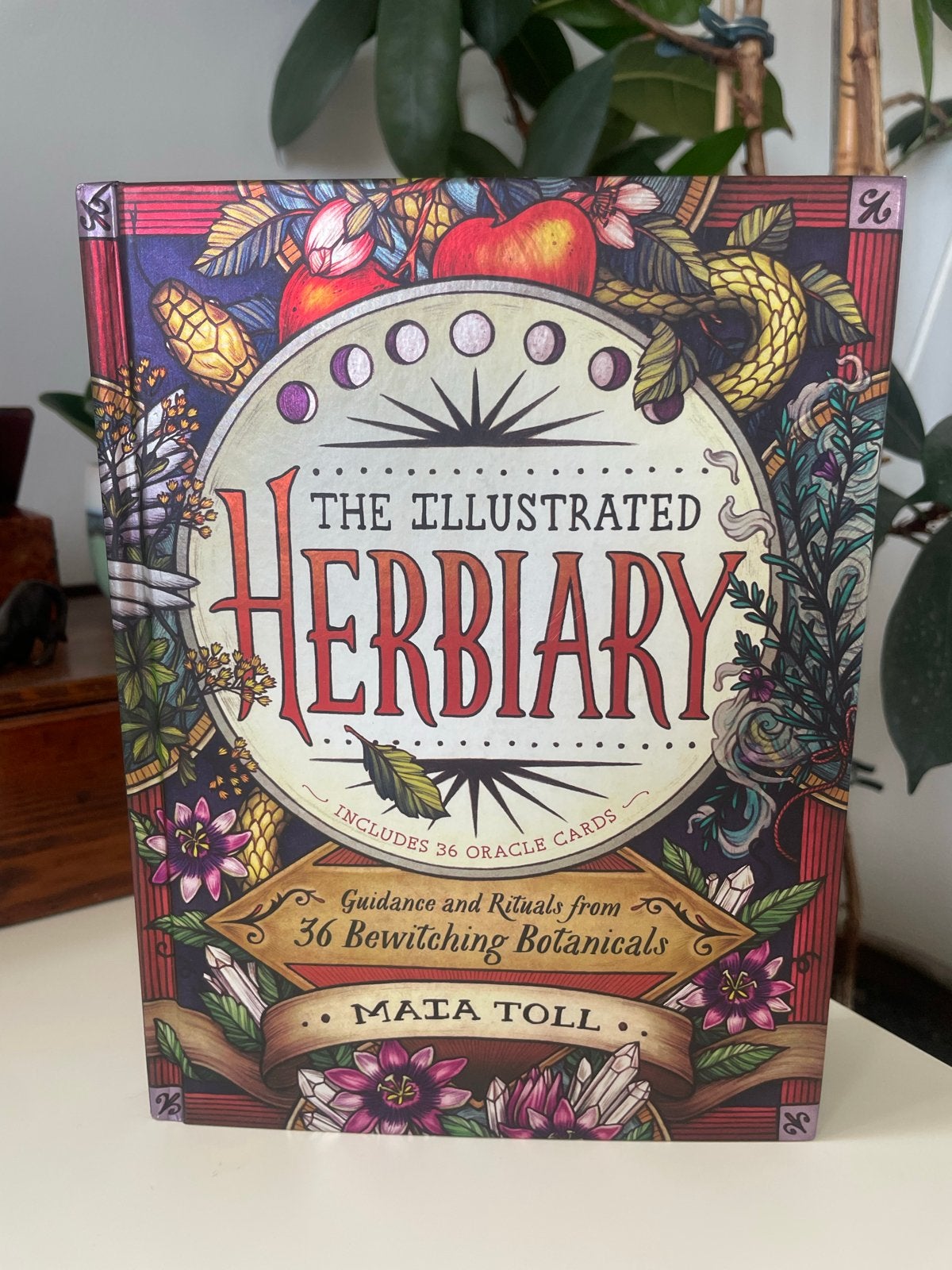 The Illustrated Herbiary: oracle, Boek met 36 orakel Kaarten, Ophalen of Verzenden, Zo goed als nieuw, Spiritualiteit algemeen
