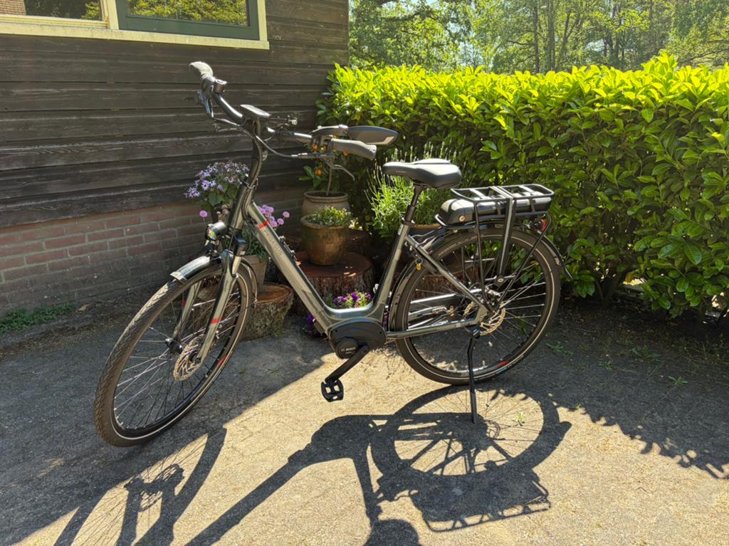 Pegasus Ravenna E8F - grijs, 47 tot 51 cm, Ophalen, Zo goed als nieuw, Overige merken