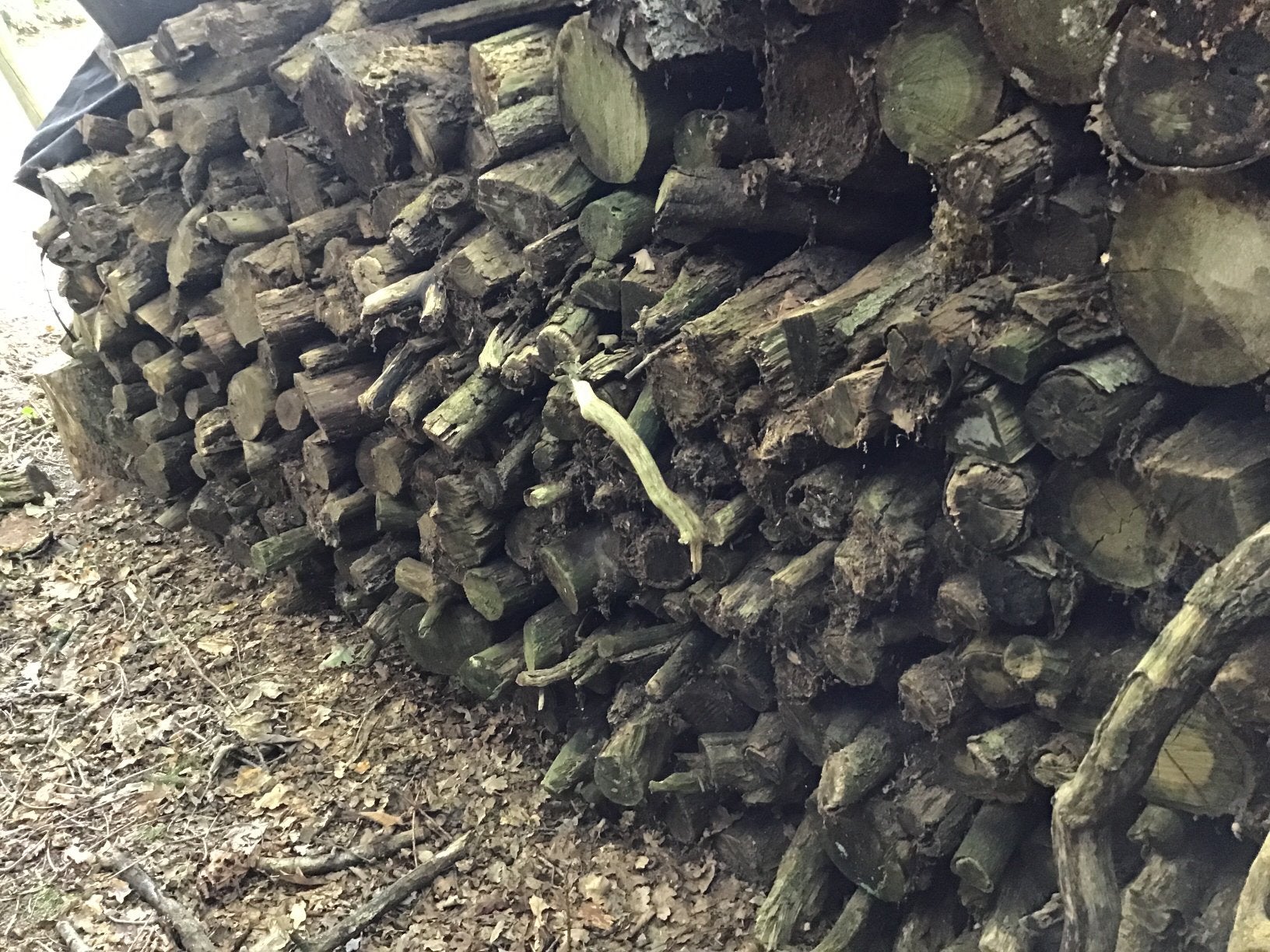 DROOG HOUT VOOR OPENHAARD OF KACHEL, Minder dan 3 m³, Ophalen of Verzenden