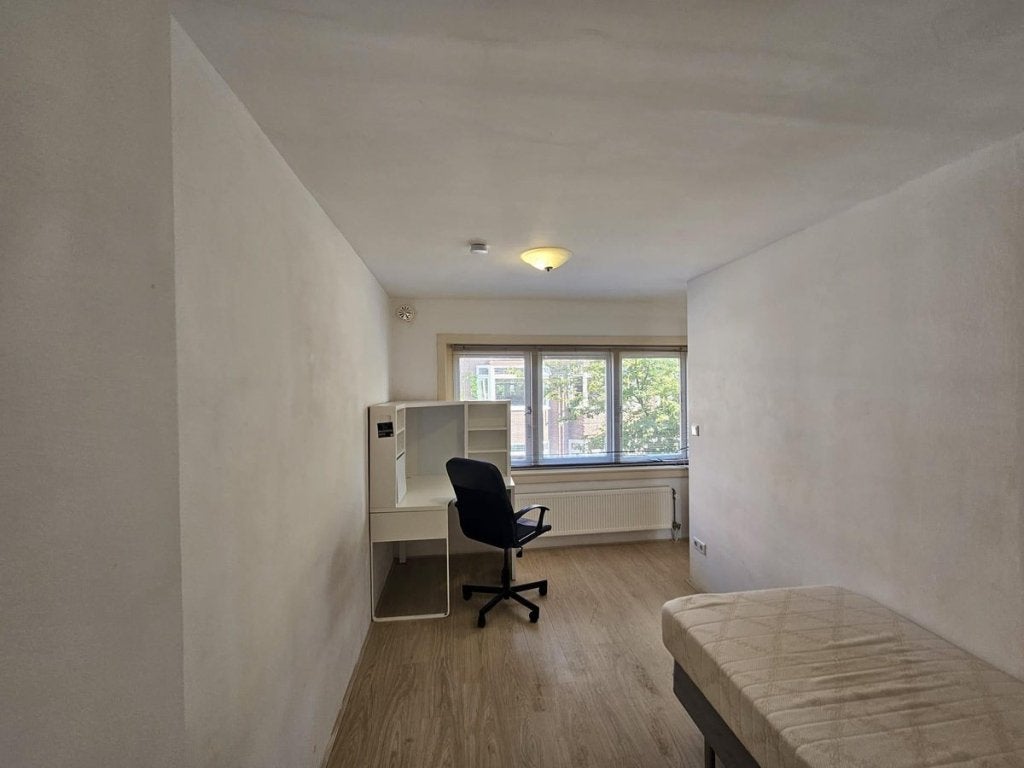 NIEUW! Woonruimte te huur St.-Ludgerusstraat, Utrecht