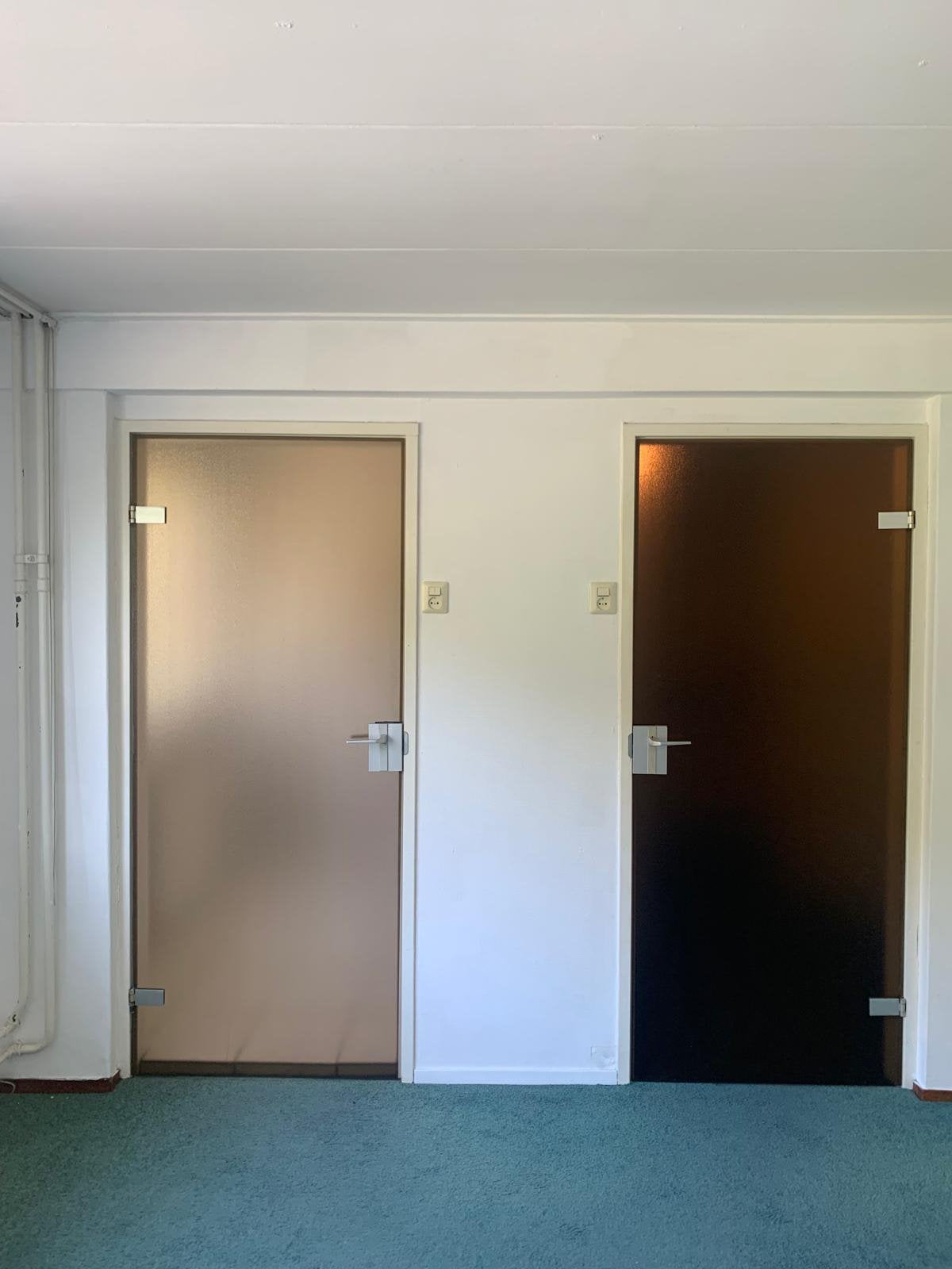 Bruine rookglas glazen deuren 84cm breed 200cm lang, Ophalen, Gebruikt, Binnendeur, 200 tot 215 cm