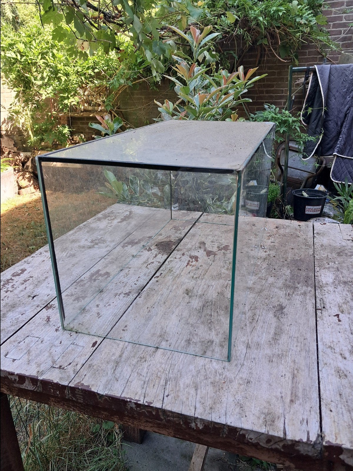 glazen bak, Gebruikt, Minder dan 75 cm, Muis, Hok