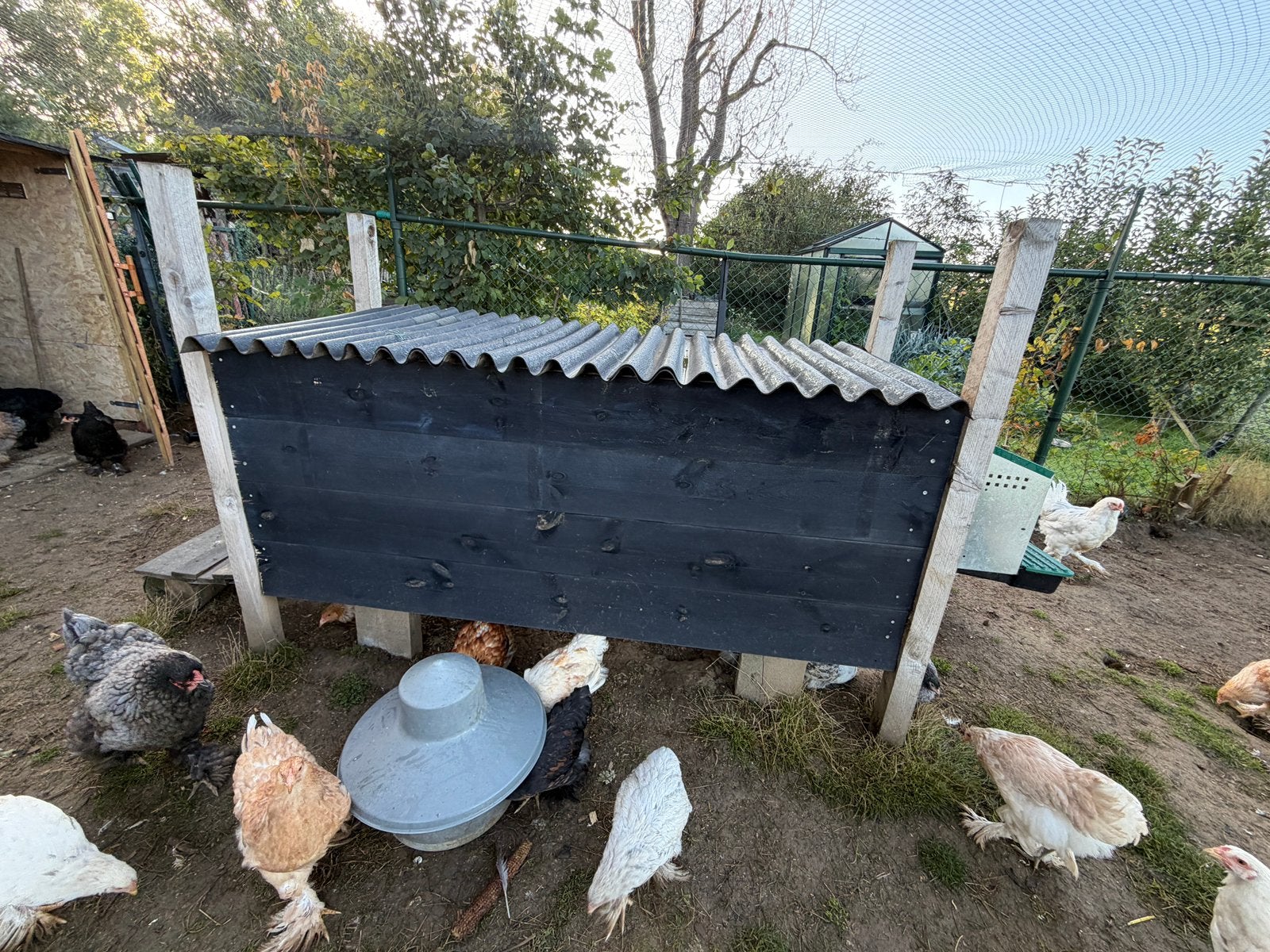 Kippenhok 210 x 110 x 90 (lengte x  diepte x hoogte), Dieren en Toebehoren, Geslacht onbekend, Kip