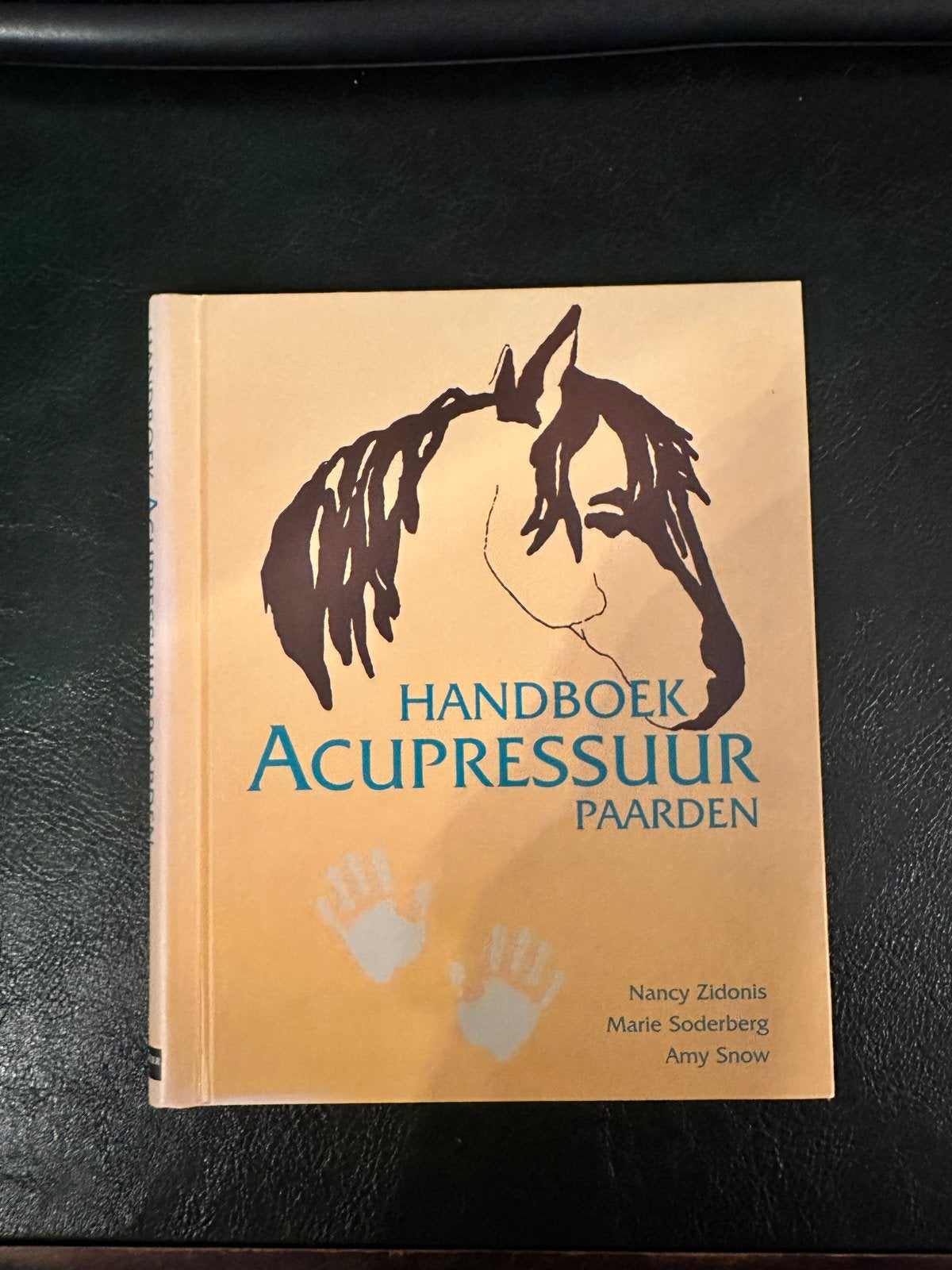 ZEER ZELDZAAM – Handboek Acupressuur Paarden, Ophalen of Verzenden, Zo goed als nieuw, Paarden of Pony's