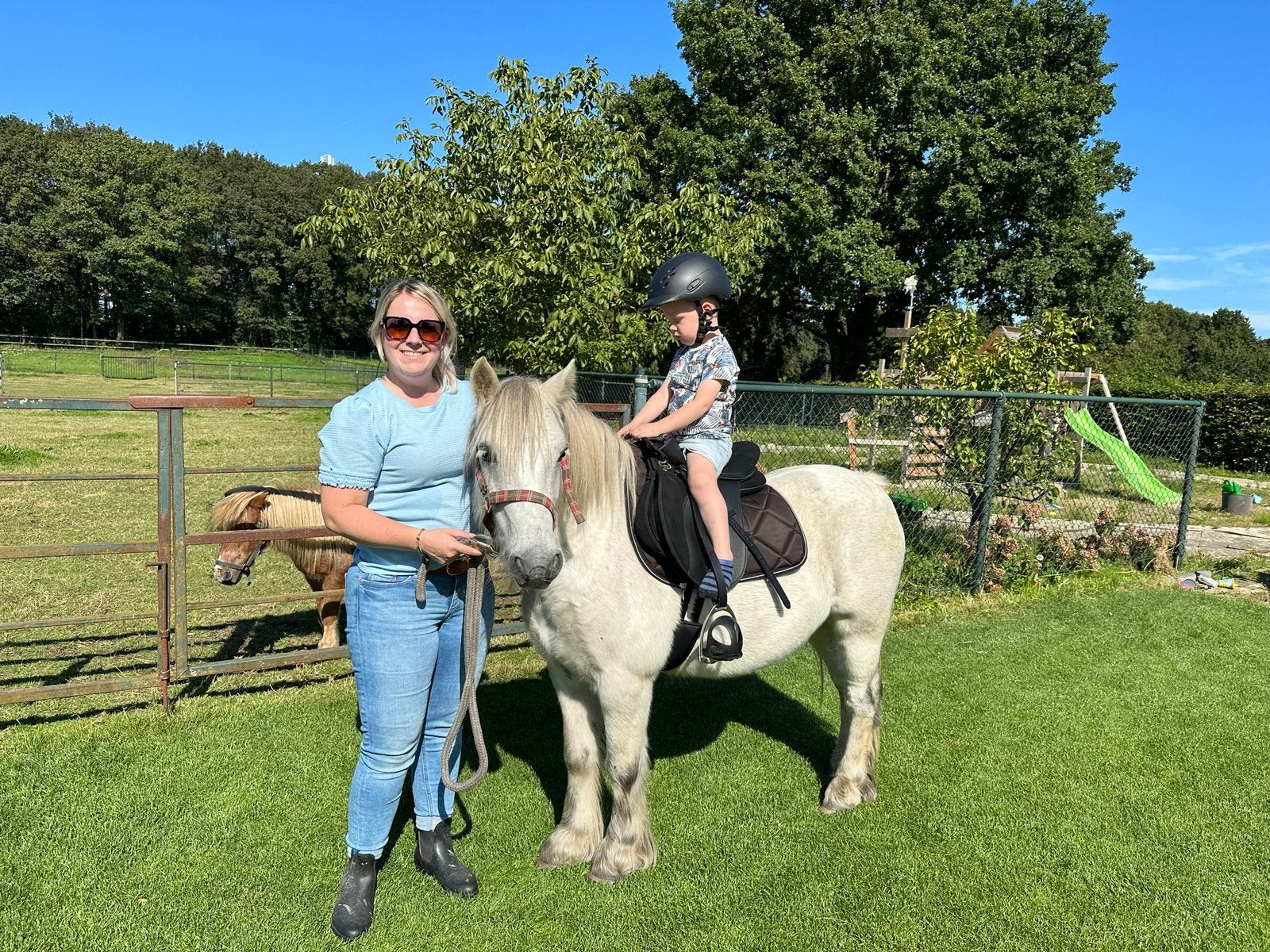 Stoere B-pony, Ruin