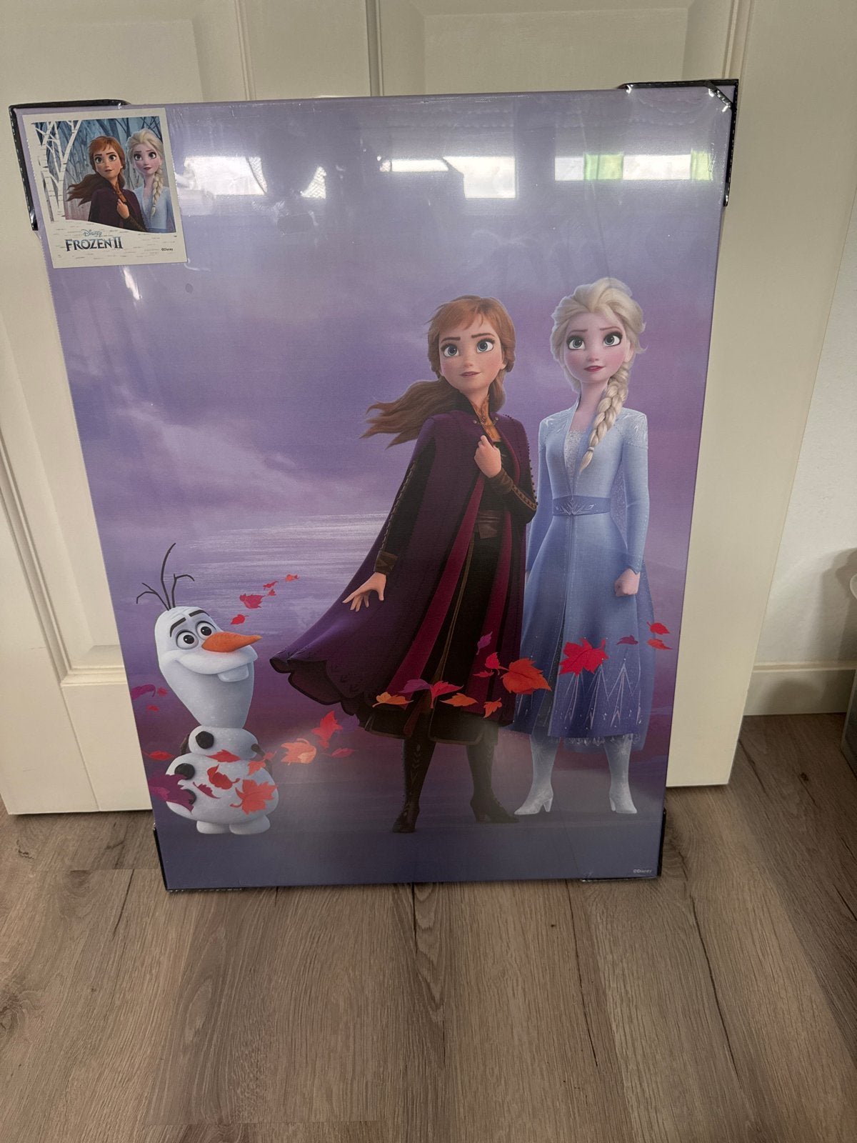 Nieuw Disney Frozen Canvas Schilderij 70x50cm, 50 – 75, Nieuw, Ophalen of Verzenden, Schilderij