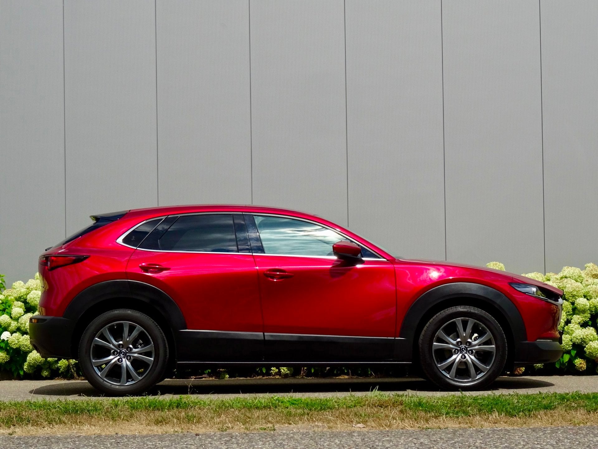 Foto 9 van Mazda CX-30 2.0 AWD e-SkyActiv-X M Hybrid Luxury | 4WD |