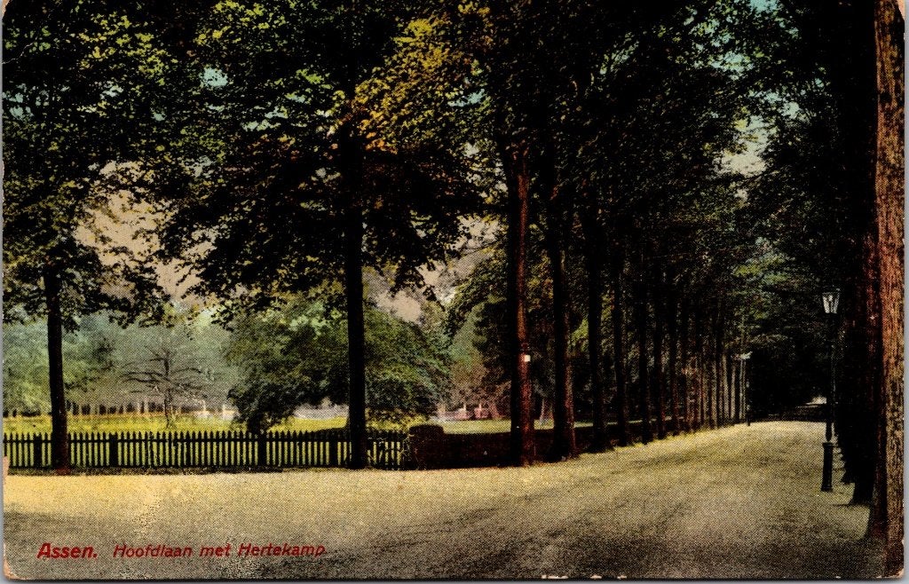 Assen Hertenkamp - 6 oude ansichtkaarten, Verzenden, Voor 1920, Gelopen, Drenthe