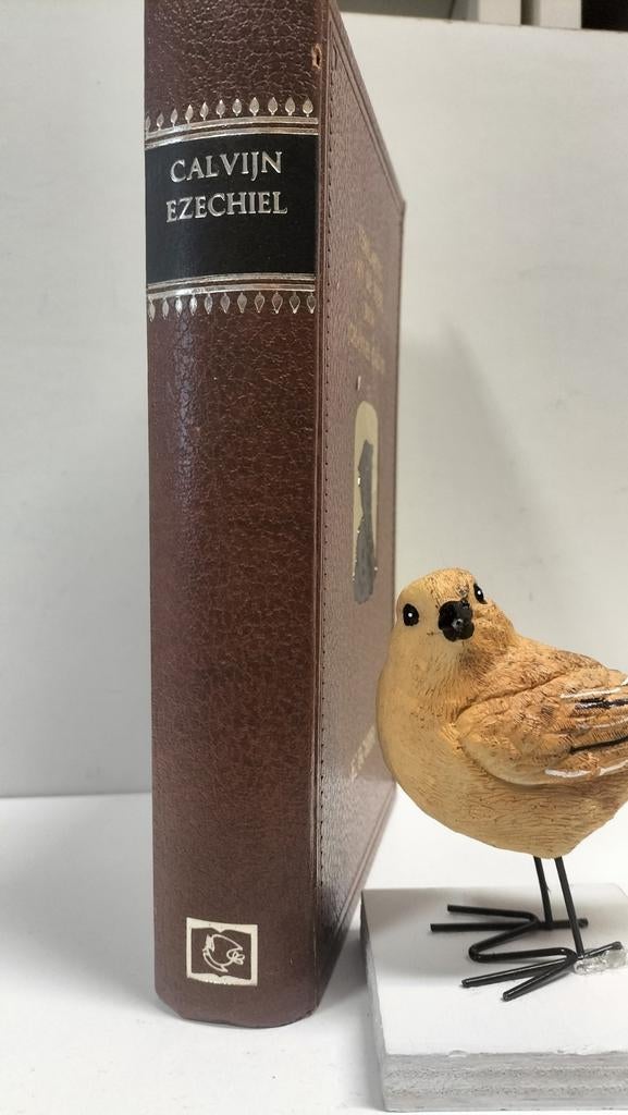 Calvijn, Joh.; Verklaring van de Bijbel : Ezechiël, Ophalen of Verzenden, Gelezen, Christendom | Protestants