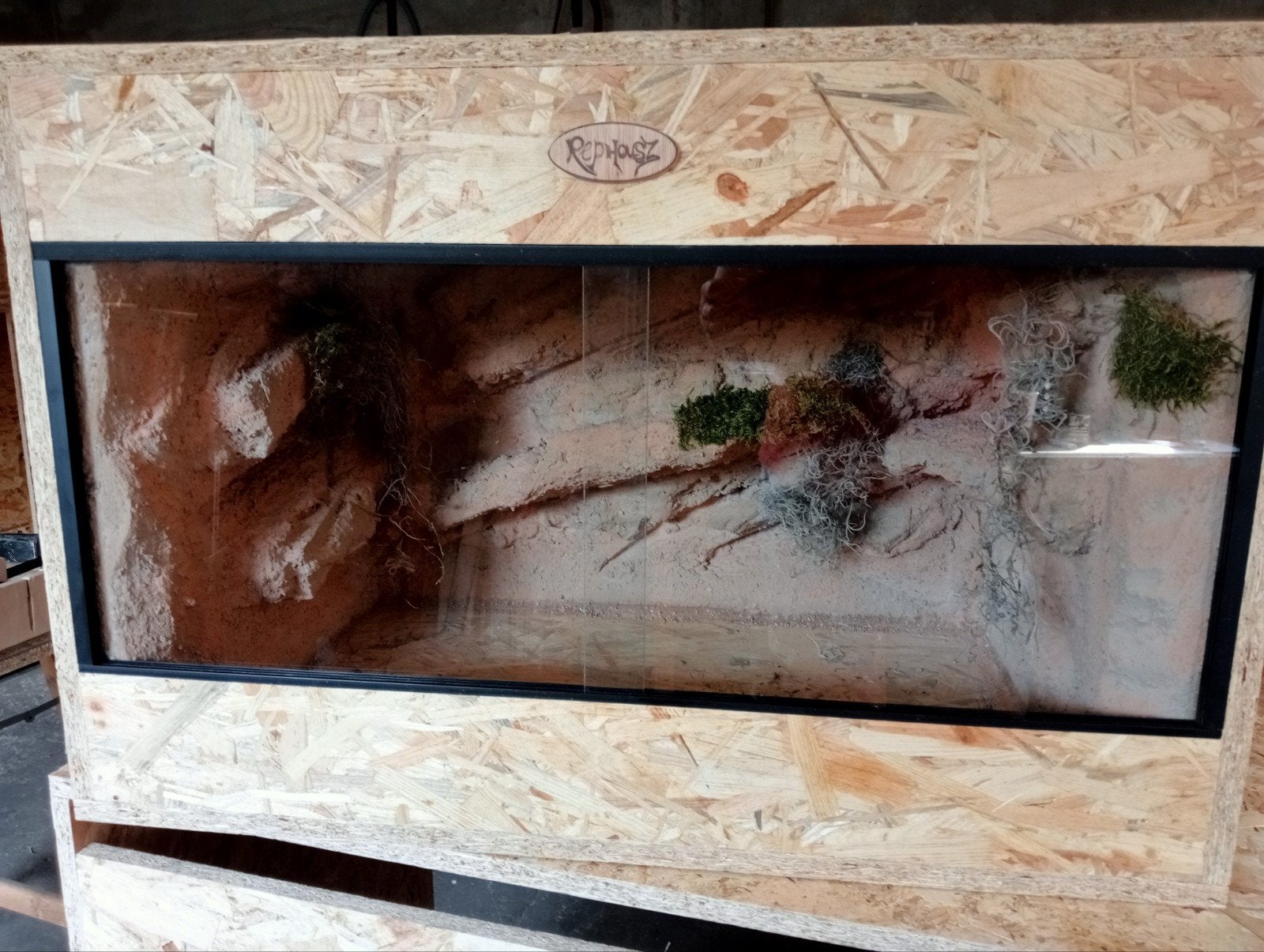 OSB3 18mm terrarium 80/50/50 met achter/zijwand, Dieren en Toebehoren, Reptielen en Amfibieën | Toebehoren, Ophalen, Nieuw, Terrarium of Paludarium