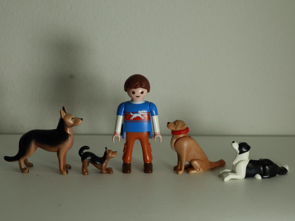 Playmobil 9279 Hondentrainer, hondenuitlaatservice, Ophalen of Verzenden