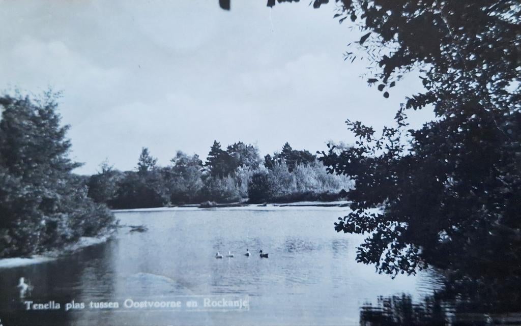 Tenella Plas tussen Oostvoorne en Rockanje - 1963, Verzamelen, Ophalen of Verzenden, 1960 tot 1980, Gelopen, Zuid-Holland