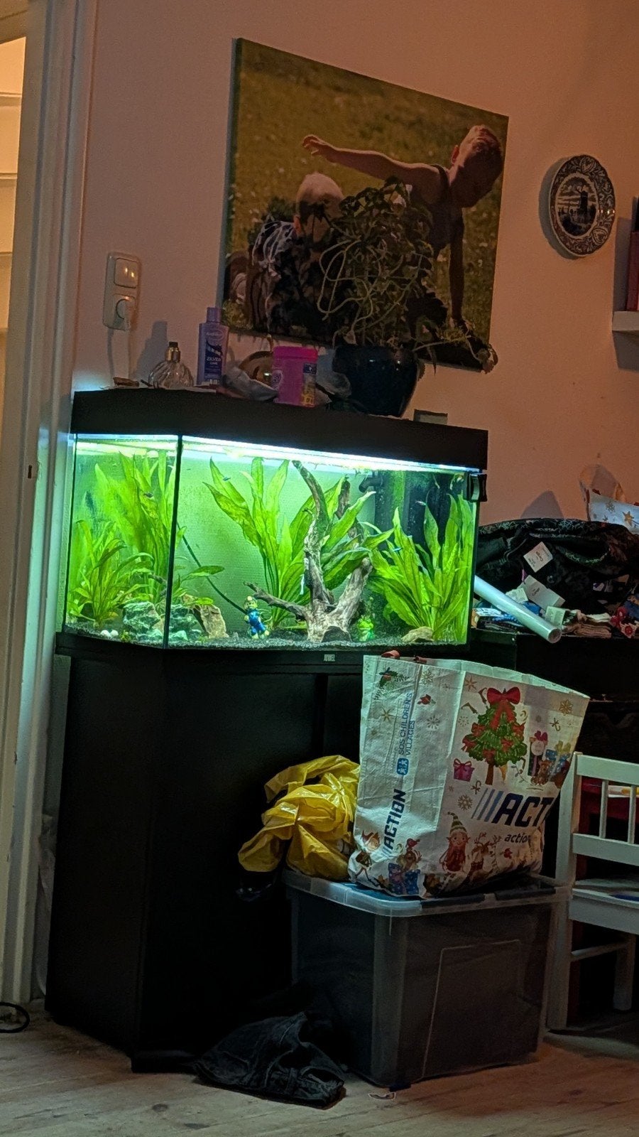 aquarium, Ophalen, Zo goed als nieuw, Gevuld zoetwateraquarium