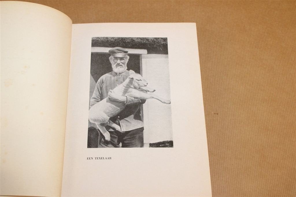 Eiland, Stad en Koninkrijk — Texel Vintage 1945 Buskes, Boeken, Ophalen of Verzenden, Gelezen