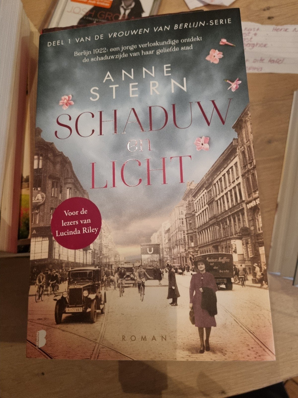 Schaduw en Licht - Anne Stern (De Vrouwen van Berlijn), Boeken, Ophalen of Verzenden, Zo goed als nieuw, Anne Stern