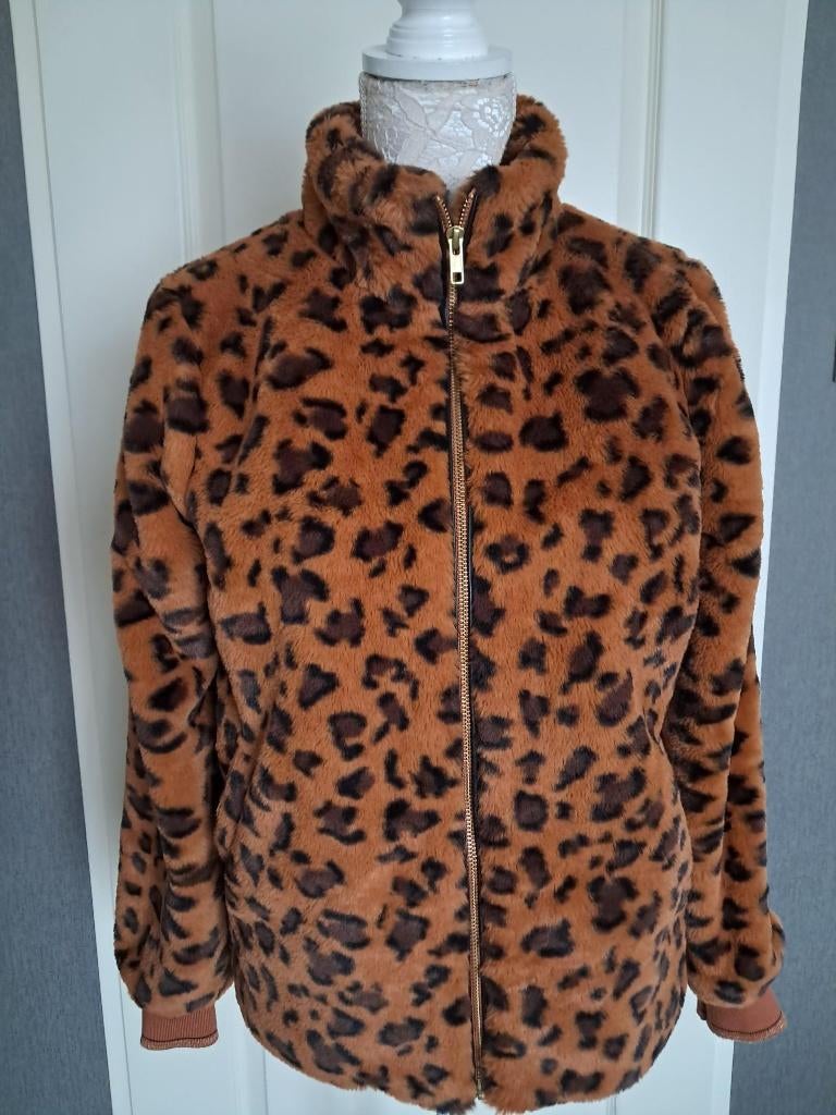 Jas Peppercorn  Kleur : Bruin Maat : S, Bruin, Nieuw, Ophalen of Verzenden, Maat 36 (S)
