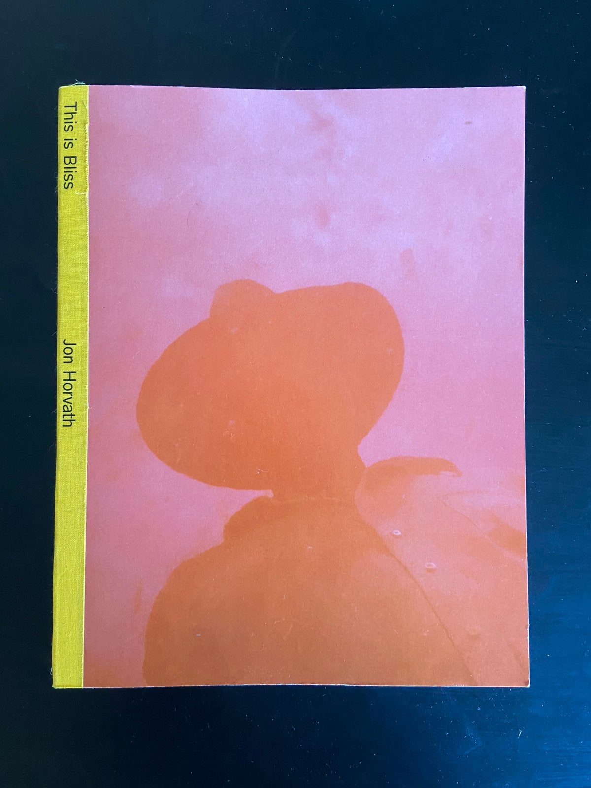 This is Bliss - Jon Horvath, Ophalen of Verzenden, Zo goed als nieuw, Overige onderwerpen