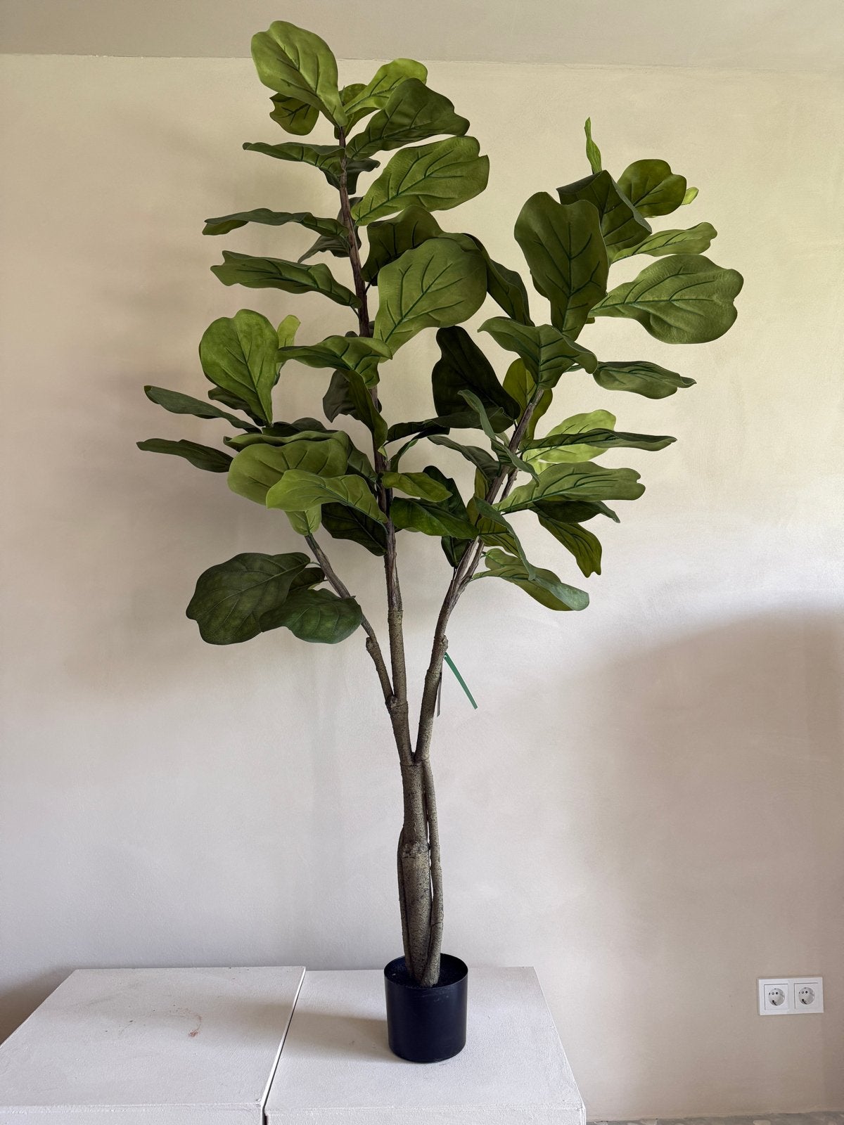 Nieuwe Ficus Kunstplant 180 cm, Binnen, Groen, Kunstplant, Nieuw