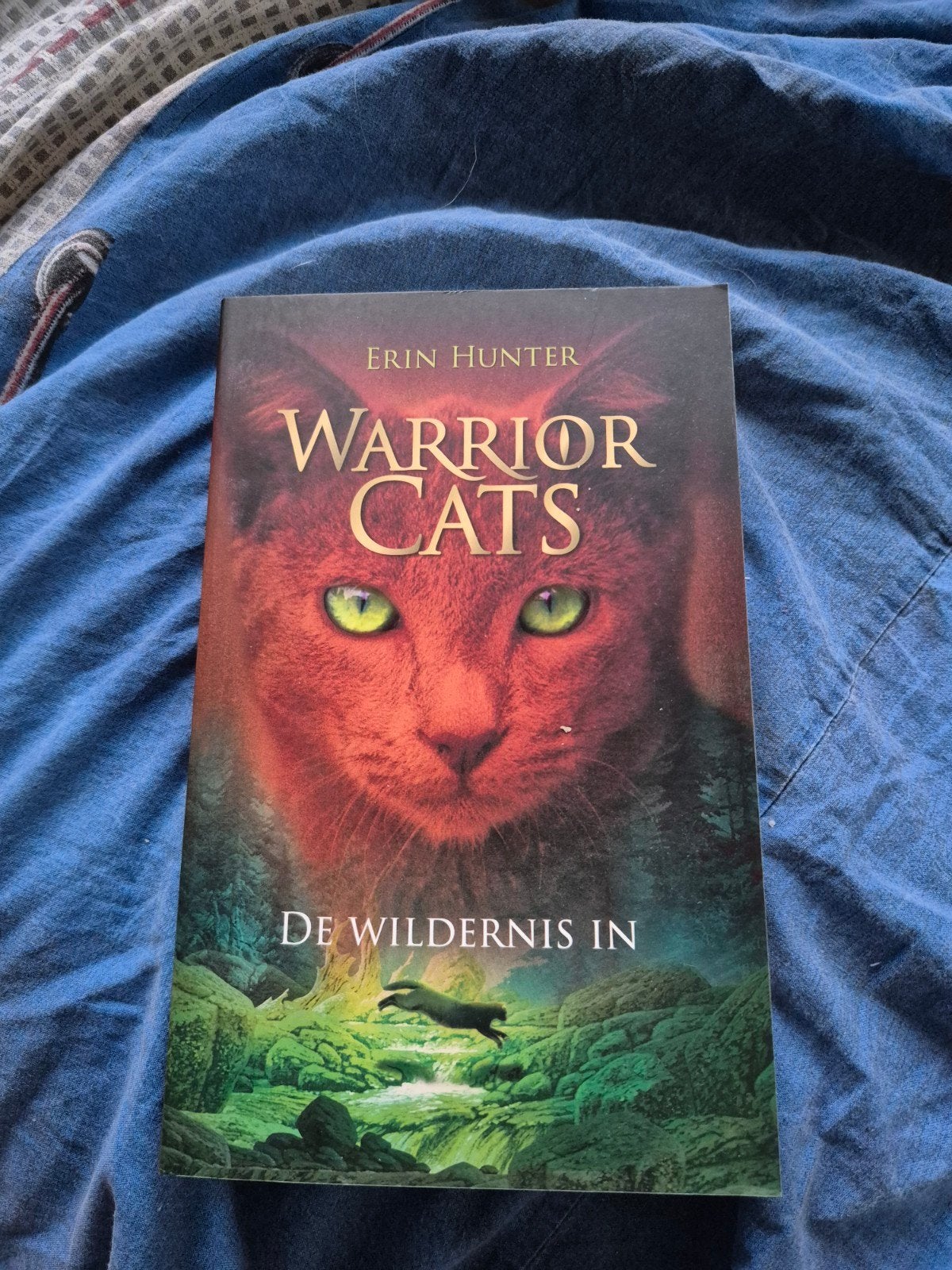 Warrior Cats: De Wildernis In - Erin Hunter, Ophalen of Verzenden