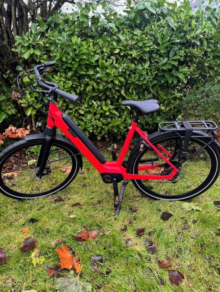 Elektrische fiets - Elektrische fiets - Frappé Fuzed BP9d, Ophalen of Verzenden, Nieuw, Overige merken