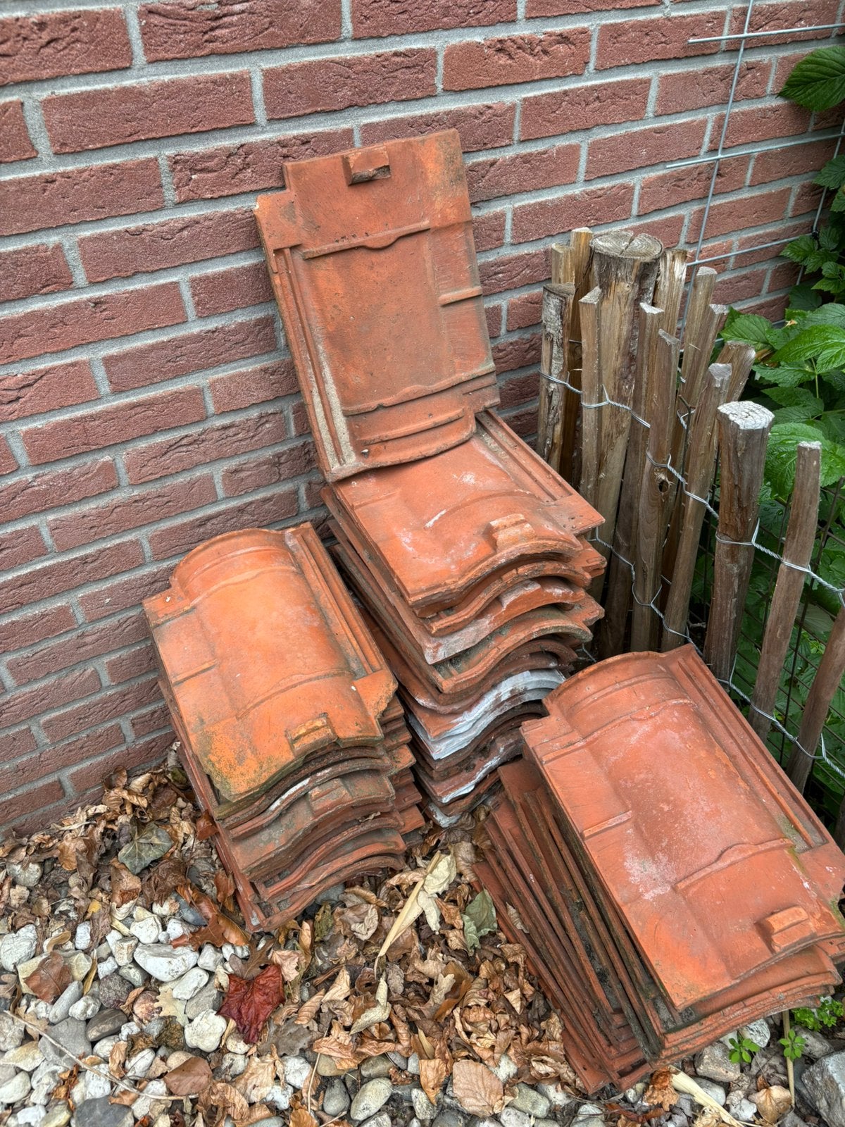 Oude rode dakpannen., Steen of Klei, Ophalen of Verzenden, Zo goed als nieuw, 15 m² of meer