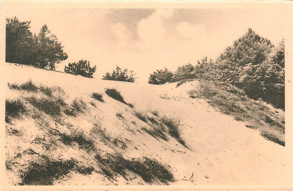 701-144-047 Udenhout Roestelberg, Verzamelen, Ansichtkaarten | Nederland, Verzenden, Voor 1920, Noord-Brabant