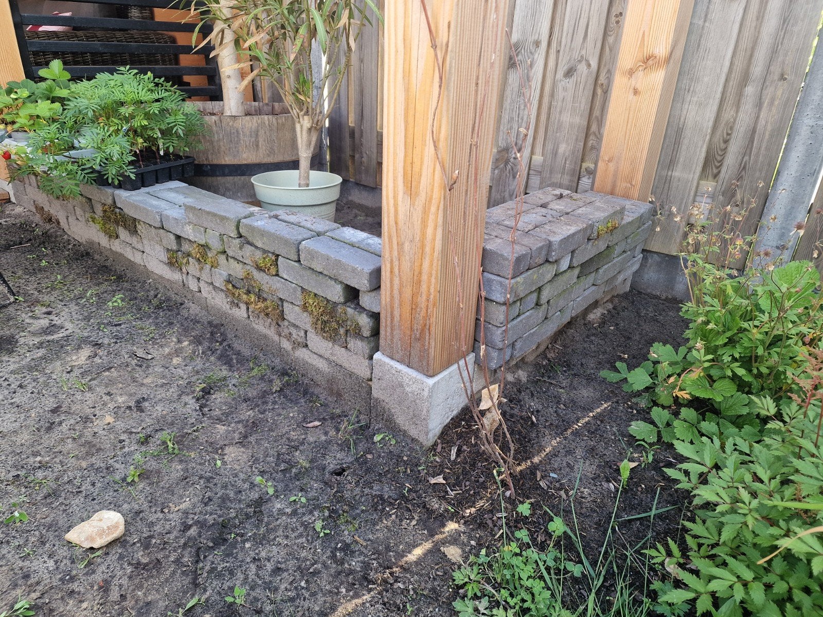 GRATIS betonklinkers, Tuin en Terras, Ophalen