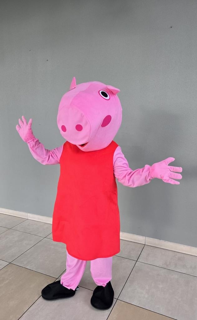 Peppa Pig te huur - verjaardag - kinderfeestje, Ophalen of Verzenden, Verjaardag