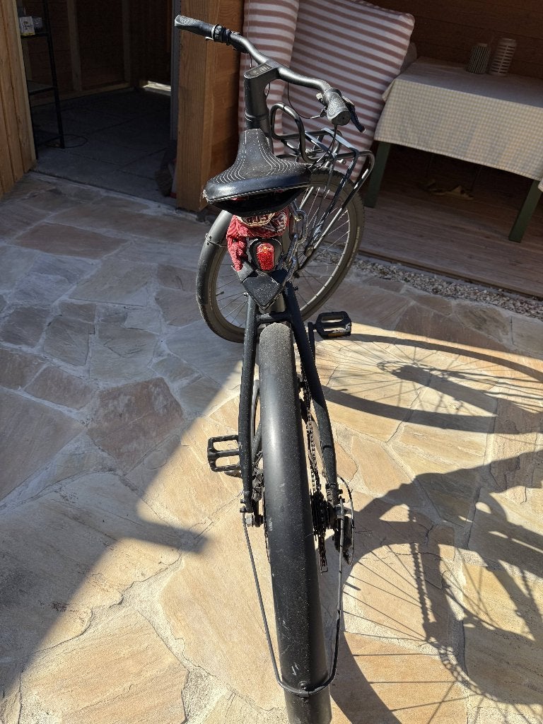 Gebruikte Bird Bike (incl. bagagedrager voorkant), Minder dan 30 km per accu, Gebruikt, 55 tot 59 cm, Ophalen