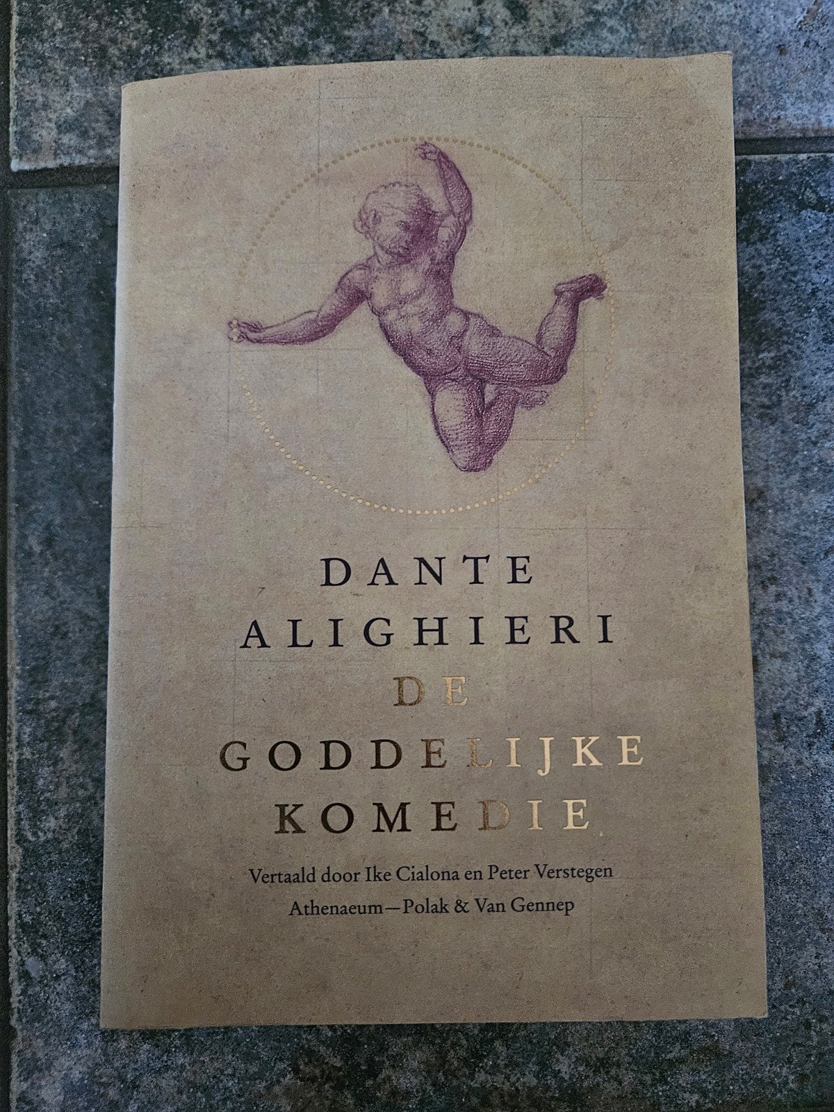 De goddelijke komedie - Dante Alighieri (Vert. Cialona e.a.), Ophalen of Verzenden, Dante Alighieri, Nederland