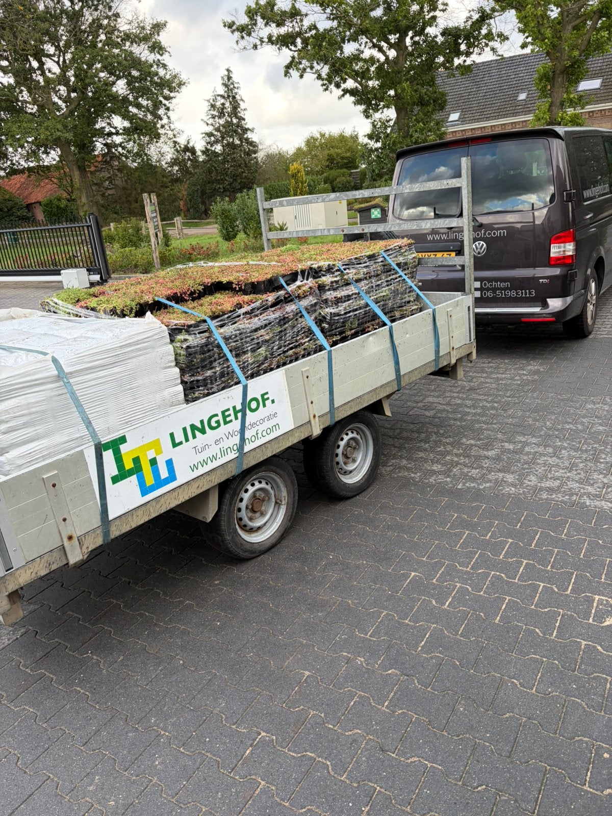Groendak sedum van 1 mat of 1 cassette tot ….., Bodembedekkers, Volle zon, Vaste plant, Ophalen of Verzenden
