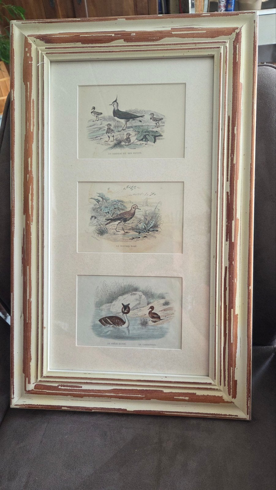Franse ingekleurde tekening, gesigneerd 'Kievit met jonkies', Ophalen of Verzenden