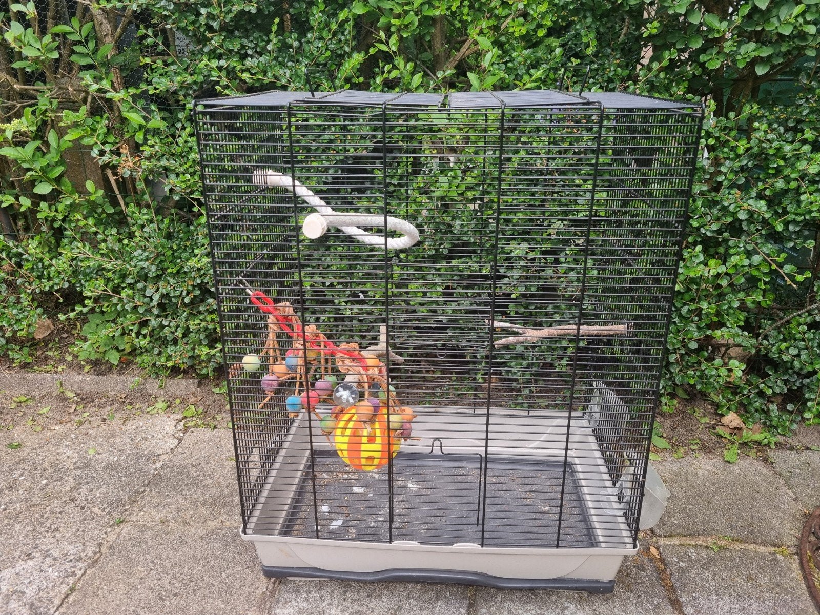Vogelkooi, Ophalen