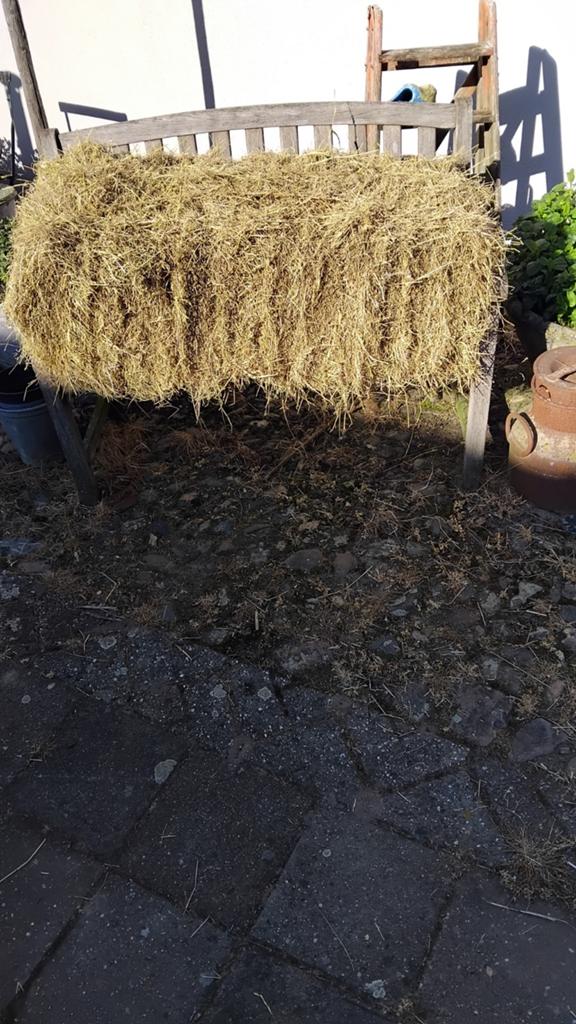 Hooi kleine pakjes, Ophalen of Verzenden, Vee