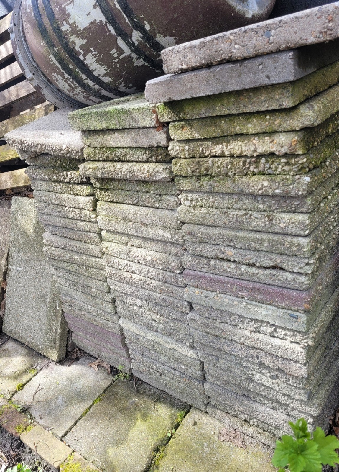 50 tegels 30 x 30 cm= ongeveer 4,5 vierkante meter
Zijn heel, Ophalen, Gebruikt, Minder dan 5 m², Beton