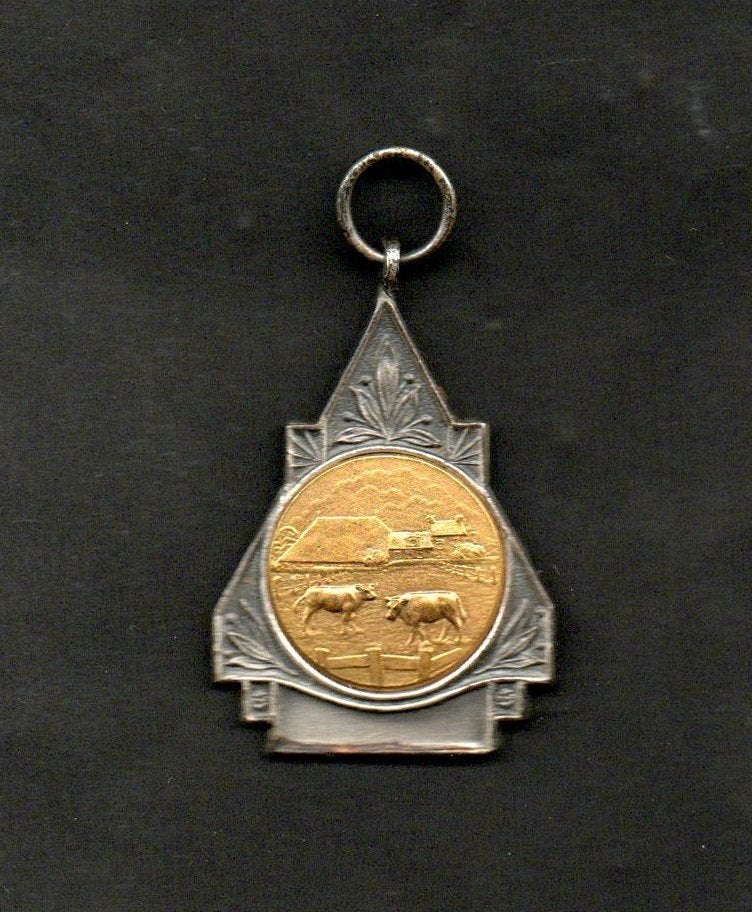 Medaille Wetering Steenwijk 1e Prijs Grietje 1956., Ophalen of Verzenden, Zo goed als nieuw