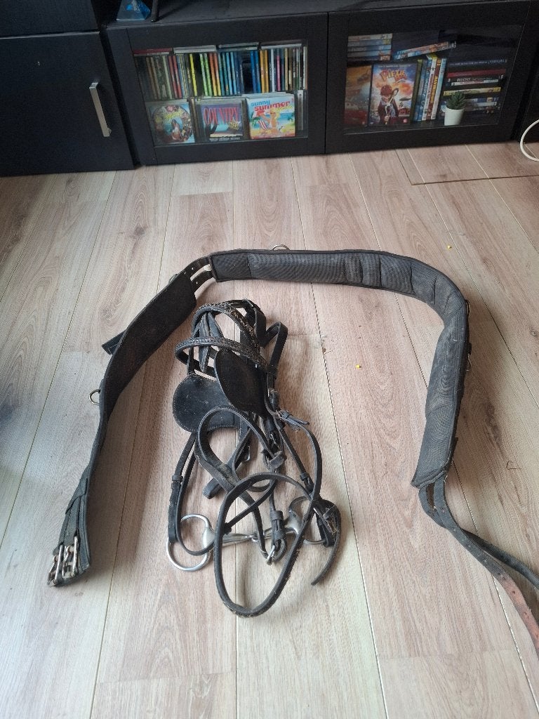 Borst stuk met hoofdstel koets, Ophalen, Recreatie, Zwart, BR